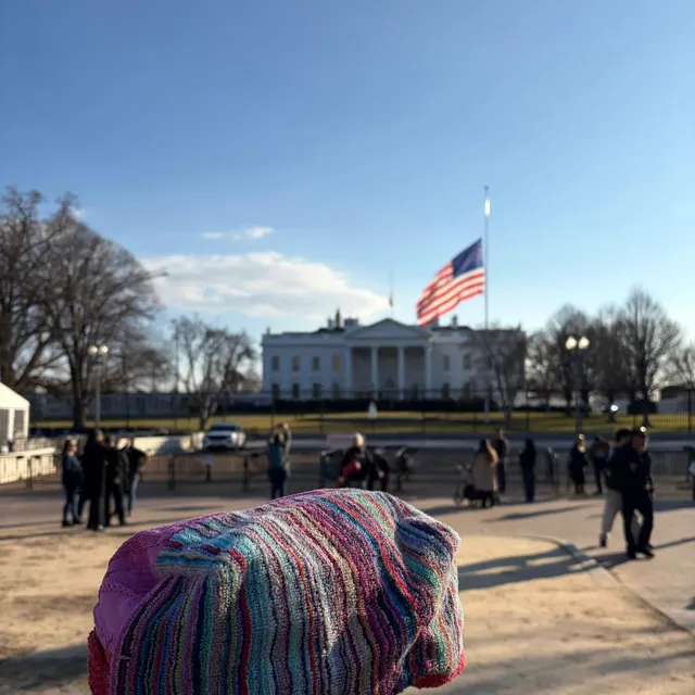 Nabeel mid-spring in Washington, United States